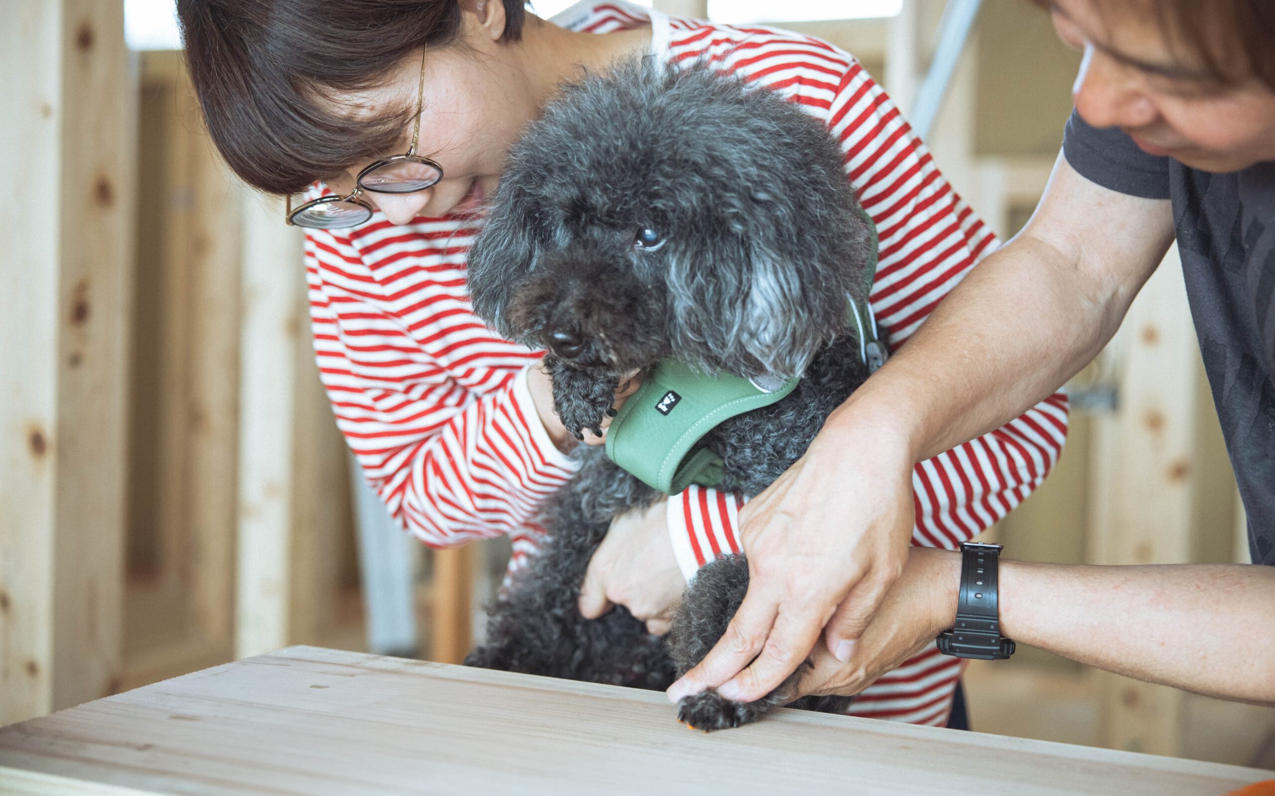 ご家族と愛犬で残す、想い出のカタチ